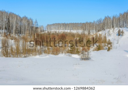 Snowy hills near the forest in winter