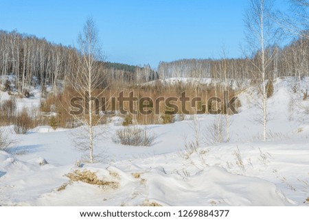 Snowy hills near the forest in winter