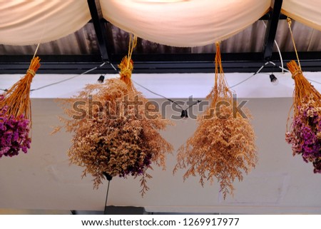 Dry flower hanging under the roof, decoration for vintage style with copy space for text and design. Concept for decoration at coffee shop and restaurant, background and wallpaper. Blur picture.
