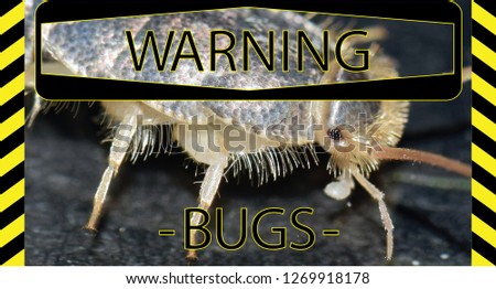 Insect warning sign regarding long tailed silverfish, Ctenolepisma longicaudata, and other bugs.