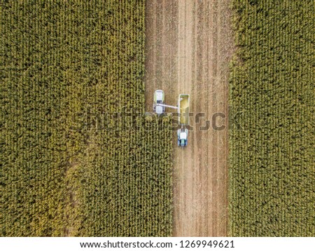 mechanized corn harvesting in Europe, Germany drone top down view