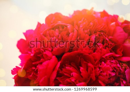 red peonies  bouquet, backgrounds