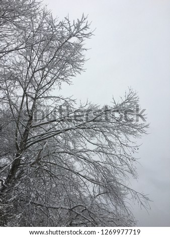 Appalachian snow day