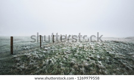 Winter landscape. Misty morning field, frost and snow on the grass. Latvia