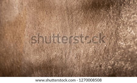 Close up of brown soft wool texture background. Natural fluffy fur of sheep, cow or calf. Warmth and comfort.