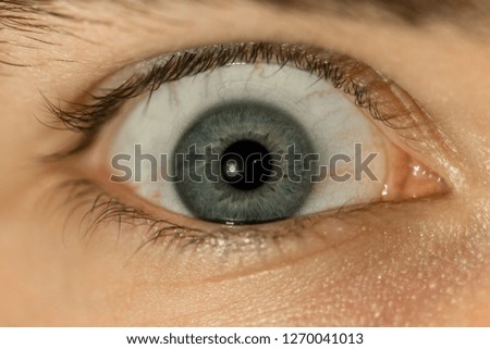 Human eye close-up.Macro photo