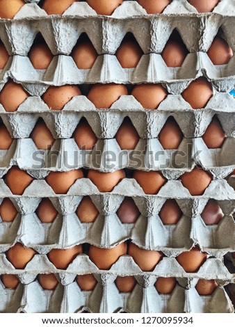 Fresh dozen eggs in case