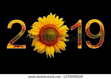 isolate 2019 Flower text on white background