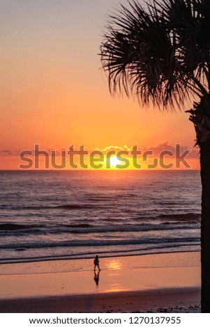 Sunrise on a Florida beach, with a woman walking along the surf line, framed by a palm tree silhouette.