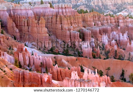 Beautiful colours into the canyon, Sunrise Point, Bryce Amphitheater, Bryce Canyon National Park, Uth, USA.