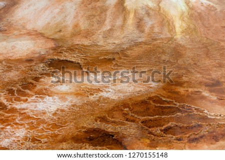 Detail of thermal spring, Yellowstone National Park, Idaho, Montana and Wyoming, USA.