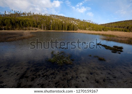 Pond in Yellowstone National Park, Idaho, Montana and Wyoming, USA.