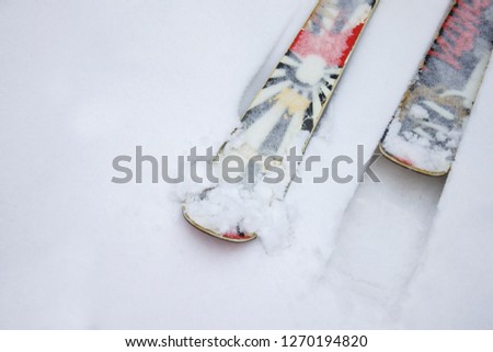 Skiing twintip. Ski twintip interesting lying in the snow. Freestyle, slopestyle skiing