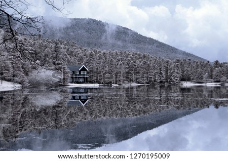 infrared photo tree amazing nature lake with reflection dream house