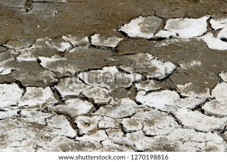   Details of mud cracketated, Mud Volcano, Yellowstone National Park, Idaho, Montana and Wyoming, USA.