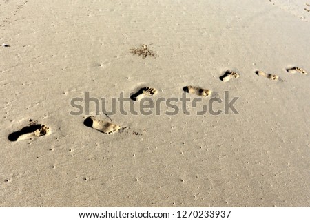 footprints in the sand on the shore