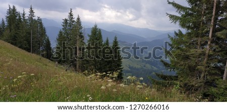 Carpathian landscape from the Mount Magurne in summer