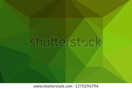 Light Green vector shining hexagonal template. A completely new color illustration in a vague style. A completely new design for your business.