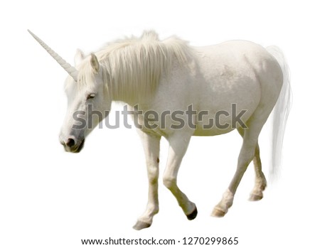 Mystical unicorns created by me for you, from real horses, in Photoshop. Royalty-Free Stock Photo #1270299865