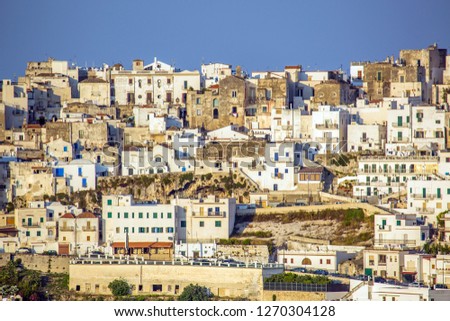 Beautiful view of the town of Peschici perched on the rock 
