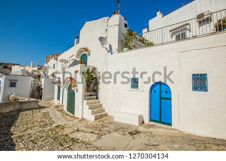 Houses,alleys and  streets  of Peschici