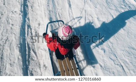 Top view of little girl, child sledding in snow in park in winter, lifestyle tracking shot