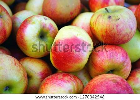 Fresh Elstar apples at a French farmers market 