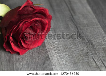 Flower background. Red rose flower with copy space on wooden background