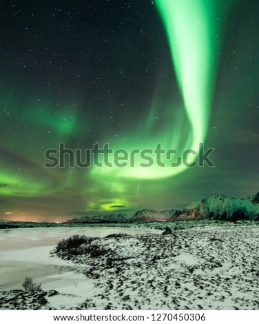 Aurora borealis. Lofoten islands, Norway. Aurora. Green northern lights. Starry sky with polar lights. Night winter landscape with aurora, sea with sky reflection and snowy mountains.