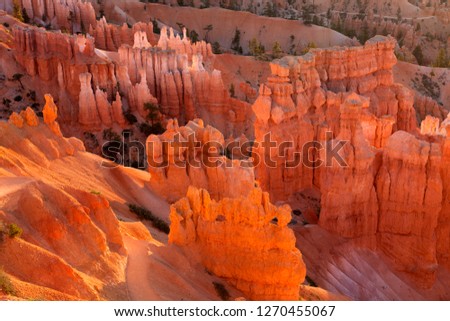 Beautiful colours into the canyon, Bryce Canyon National Park, Uth, USA.