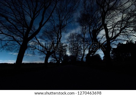 Beautiful astrophotography of trees and road. Stunning view of stars in Kennebunk Maine. Maine sky at nighttime shot with long exposure wide angle lens