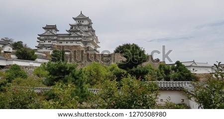 Picture of the beautiful Himeji-castle