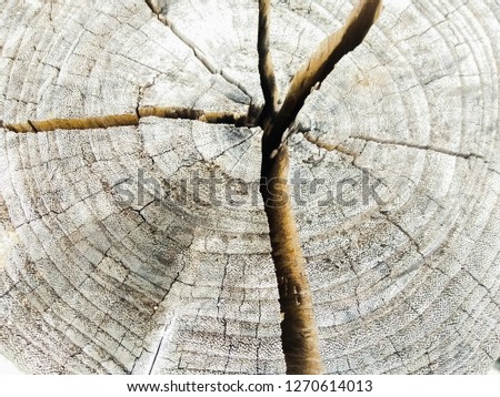 
Old wood background
