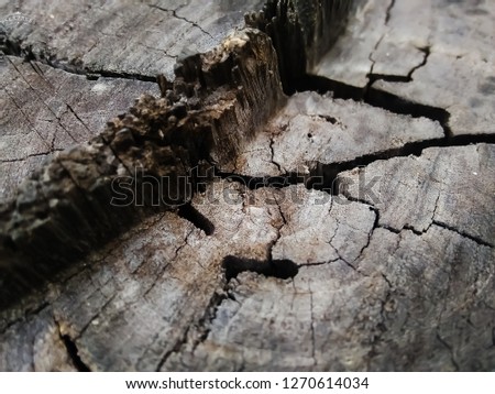 
Old wood background