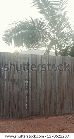 High wooden fence beside tropical garden