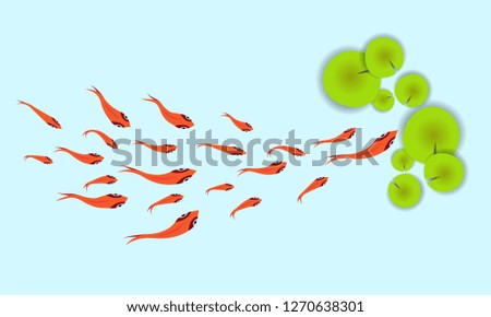 Cute fish pictures for making background images