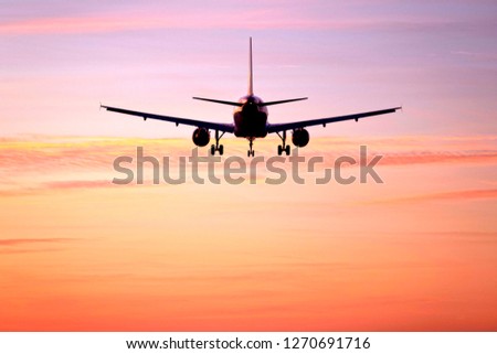 Commercial passenger aviation and jet travel Royalty-Free Stock Photo #1270691716