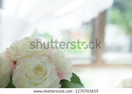 roses for saint valentines, text space, isolated, borders