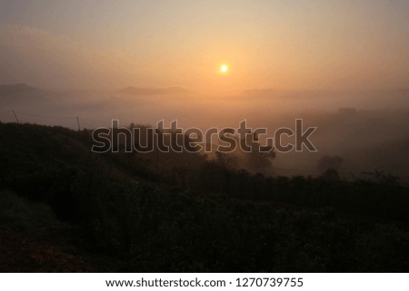 background with sun and magic dense cover farm fog at the sunrise