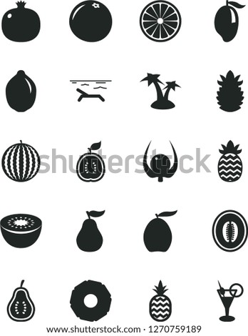 Solid Black Vector Icon Set - a pineapple vector, pomegranate, water melon, mango, loquat, half, lime, kiwi, of orange, guawa, ripe, slice, grapefruit, guava, part, physalis, beach, palm tree