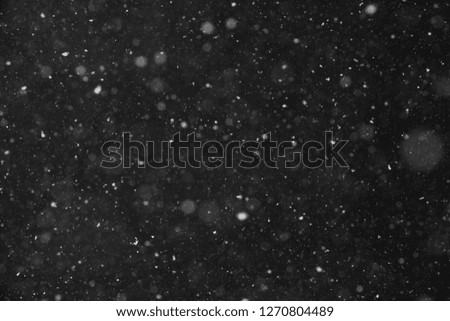 snow stock image