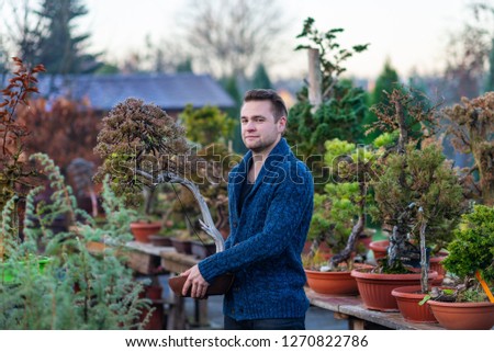 Man with asian bonsai tree. Small business concept