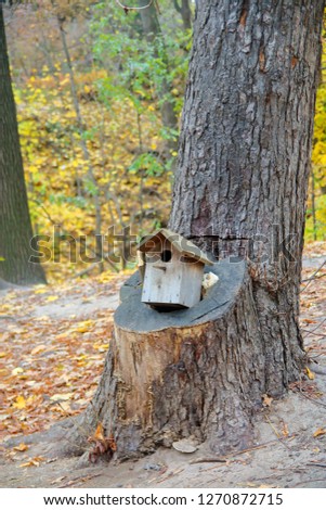 The photo was taken in the autumn park of Kiev. The picture shows a wooden birdhouse mounted on a large stump of a coniferous tree.