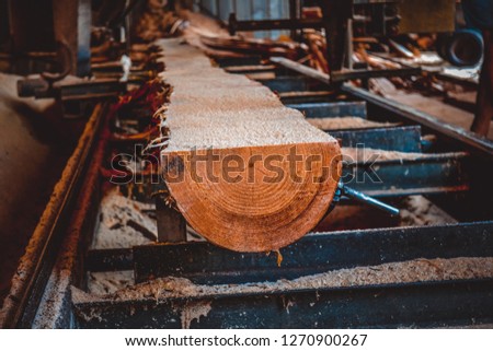 Sawmill. Process of machining logs in equipment sawmill machine saw saws the tree trunk on the plank boards. Wood sawdust work sawing timber wood wooden woodworking