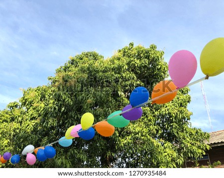 Colorful of balloon party in the garden.