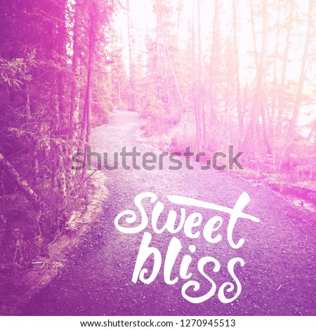 Quote - Sweet Bliss
