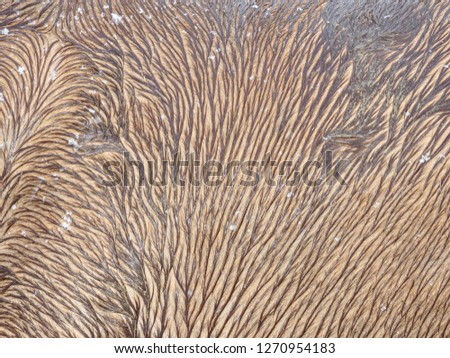 Detail of brown horse winter  fur in wet weather.  Selective focus of pony fur or leather
