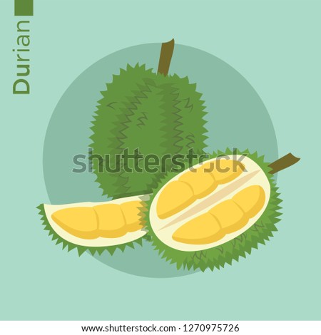 Durian fruit vector flat style