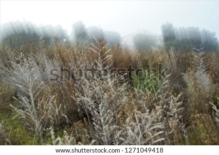 Tribute to Ernst Hass, Tribute to Monet, impressionist photograph of the photographic sweeps of herbs and trees in the fog, at low shutter speed to give a mysterious atmosphere,   toledo, spain