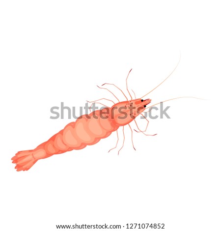 Seafood shrimp icon. Cartoon of seafood shrimp vector icon for web design isolated on white background